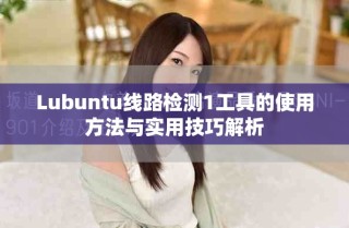 Lubuntu線路檢測1工具的使用方法與實用技巧解析