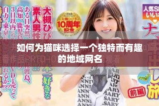 如何為貓咪選擇一個(gè)獨(dú)特而有趣的地域網(wǎng)名