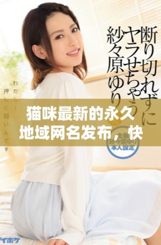 貓咪最新的永久地域網(wǎng)名發(fā)布，快來了解一下吧