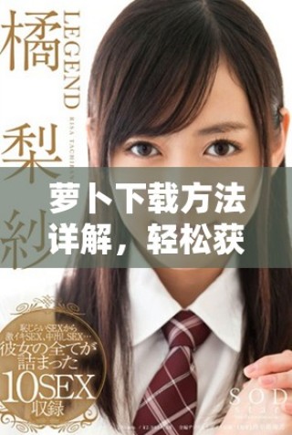 蘿卜下載方法詳解，輕松獲取你想要的應(yīng)用