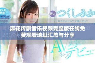 麻花傳劇音樂視頻完整版在線免費(fèi)觀看地址匯總與分享