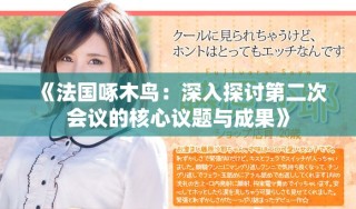 《法國啄木鳥：深入探討第二次會議的核心議題與成果》