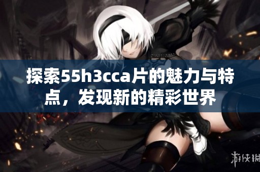 探索55h3cca片的魅力與特點(diǎn)，發(fā)現(xiàn)新的精彩世界