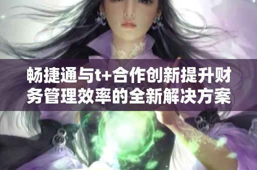 暢捷通與t+合作創(chuàng)新提升財務管理效率的全新解決方案