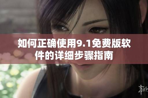 如何正確使用9.1免費版軟件的詳細(xì)步驟指南