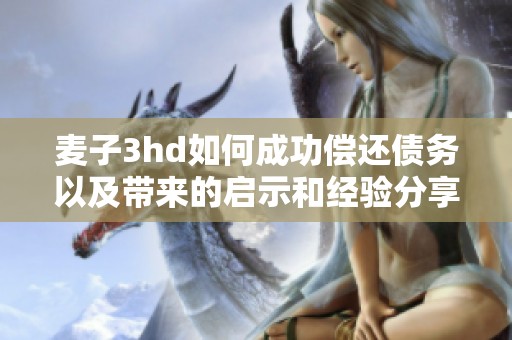 麥子3hd如何成功償還債務以及帶來的啟示和經(jīng)驗分享