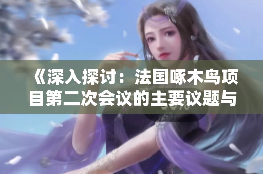 《深入探討：法國(guó)啄木鳥(niǎo)項(xiàng)目第二次會(huì)議的主要議題與成果》
