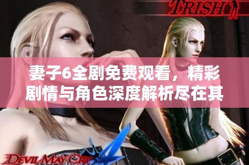 妻子6全劇免費(fèi)觀看，精彩劇情與角色深度解析盡在其中