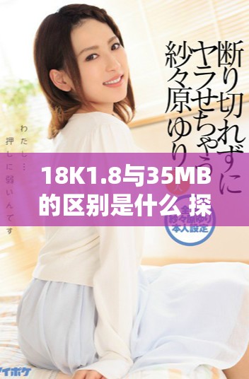 18K1.8與35MB的區(qū)別是什么 探索它們在應用中的不同效果