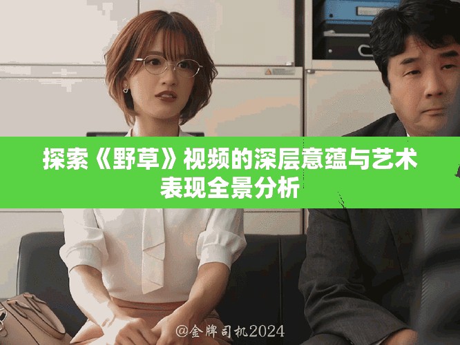 探索《野草》視頻的深層意蘊(yùn)與藝術(shù)表現(xiàn)全景分析