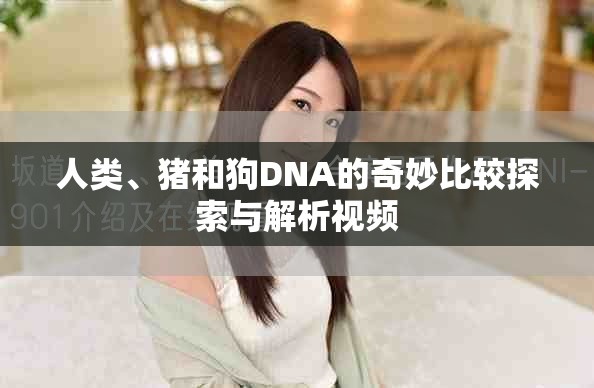 人類、豬和狗DNA的奇妙比較探索與解析視頻