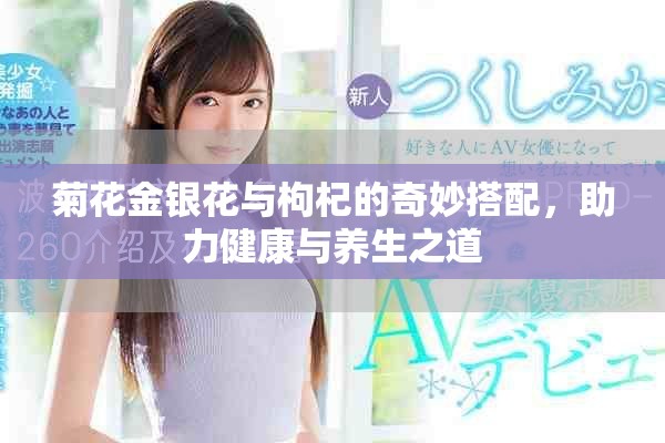 菊花金銀花與枸杞的奇妙搭配，助力健康與養(yǎng)生之道