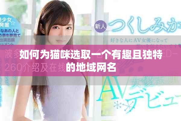 如何為貓咪選取一個(gè)有趣且獨(dú)特的地域網(wǎng)名