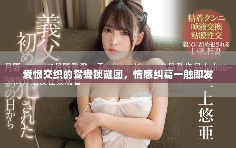 愛恨交織的鴛鴦鎖謎團(tuán)，情感糾葛一觸即發(fā)