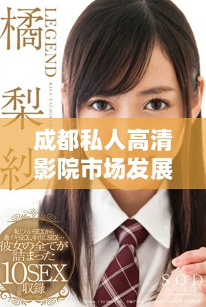 成都私人高清影院市場(chǎng)發(fā)展趨勢(shì)與未來前景分析報(bào)告
