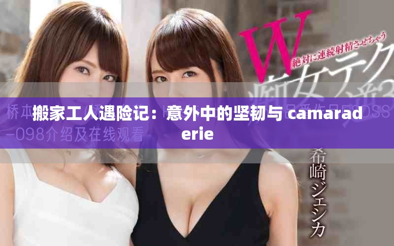 搬家工人遇險(xiǎn)記：意外中的堅(jiān)韌與 camaraderie