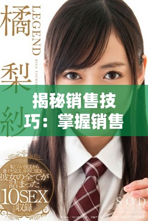 揭秘銷售技巧：掌握銷售秘笈，輕松提升業(yè)績與收入的方法