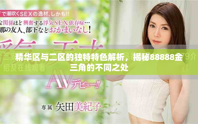 精華區(qū)與二區(qū)的獨特特色解析，揭秘88888金三角的不同之處