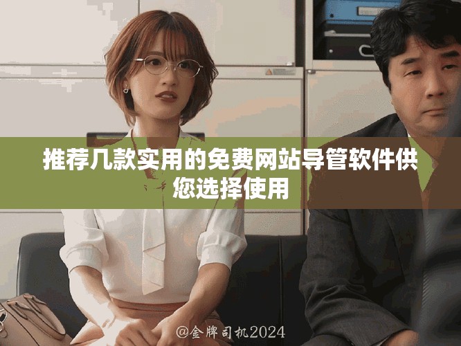 推薦幾款實用的免費網(wǎng)站導管軟件供您選擇使用