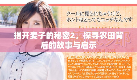 揭開麥子的秘密2，探尋農(nóng)田背后的故事與啟示