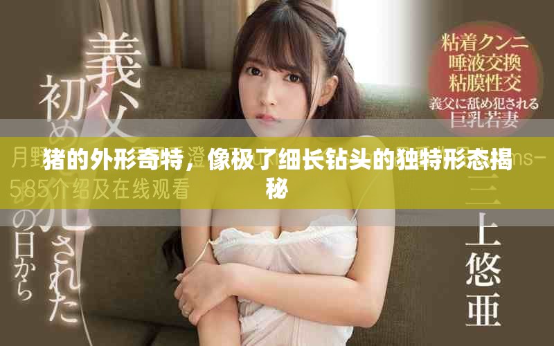 豬的外形奇特，像極了細(xì)長鉆頭的獨特形態(tài)揭秘