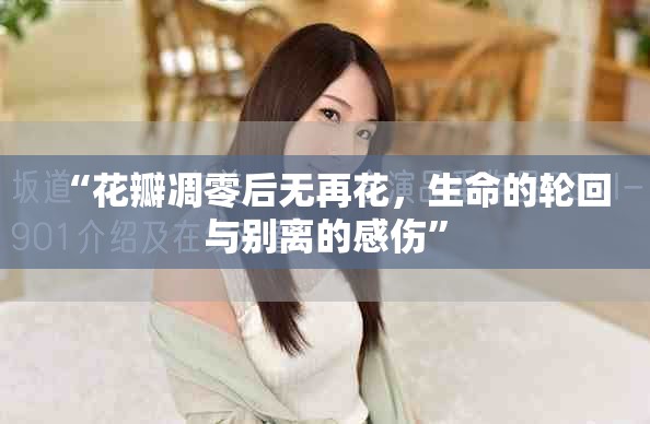 “花瓣凋零后無(wú)再花，生命的輪回與別離的感傷”