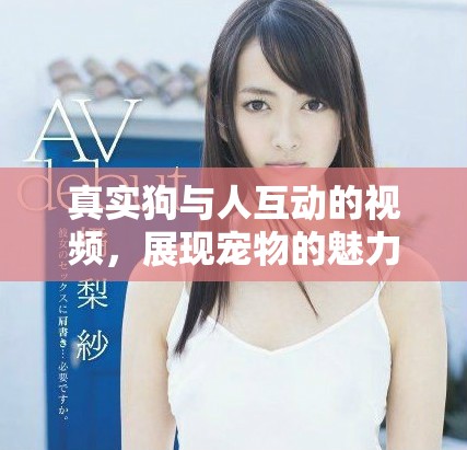 真實(shí)狗與人互動(dòng)的視頻，展現(xiàn)寵物的魅力和溫暖