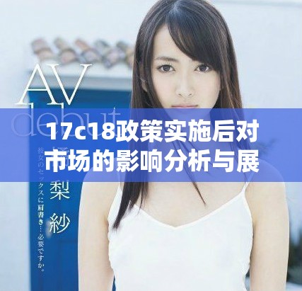 17c18政策實(shí)施后對市場的影響分析與展望