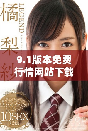 9.1版本免費行情網站下載安裝步驟詳解與使用指南