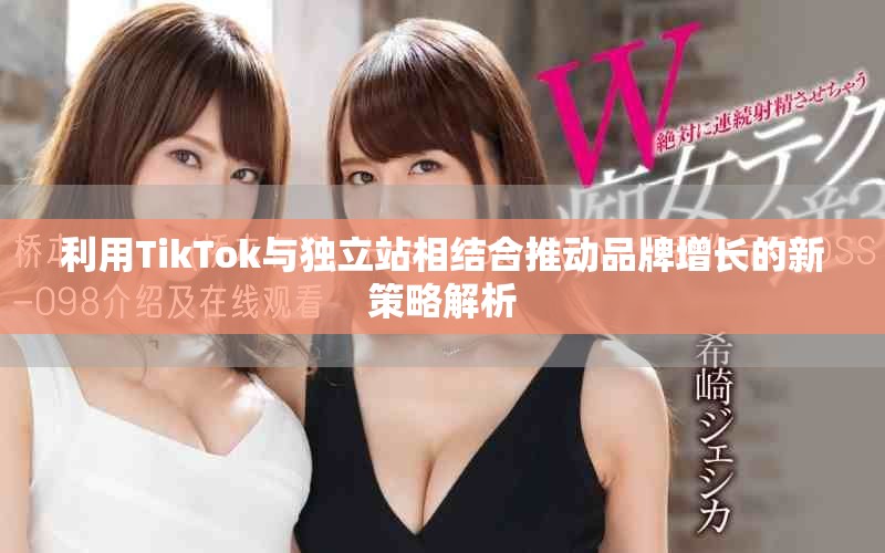 利用TikTok與獨立站相結合推動品牌增長的新策略解析