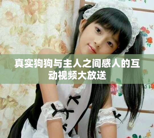 真實(shí)狗狗與主人之間感人的互動視頻大放送