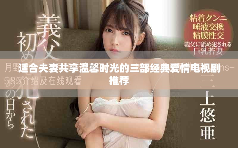 適合夫妻共享溫馨時光的三部經(jīng)典愛情電視劇推薦