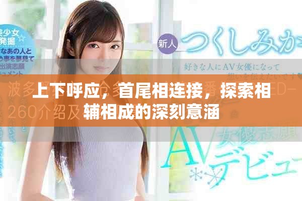 上下呼應(yīng)，首尾相連接，探索相輔相成的深刻意涵