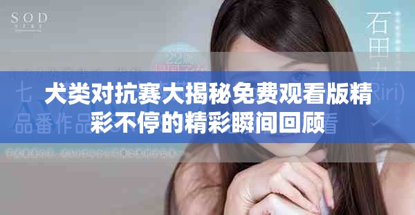 犬類對(duì)抗賽大揭秘免費(fèi)觀看版精彩不停的精彩瞬間回顧