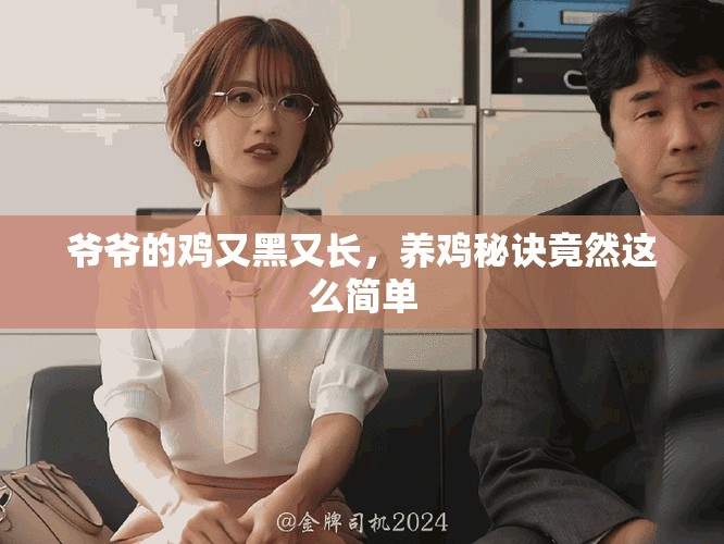爺爺?shù)碾u又黑又長(zhǎng)，養(yǎng)雞秘訣竟然這么簡(jiǎn)單