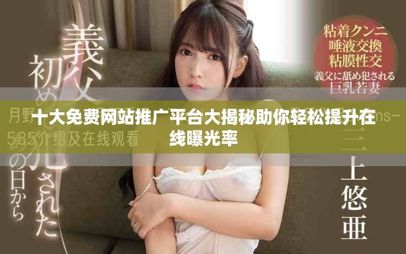 十大免費(fèi)網(wǎng)站推廣平臺(tái)大揭秘助你輕松提升在線曝光率