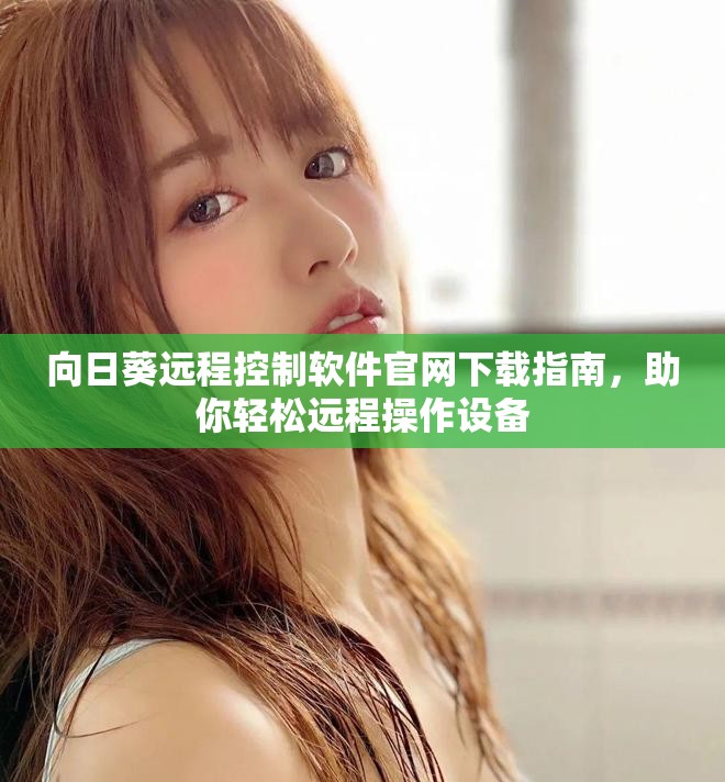 向日葵遠(yuǎn)程控制軟件官網(wǎng)下載指南，助你輕松遠(yuǎn)程操作設(shè)備