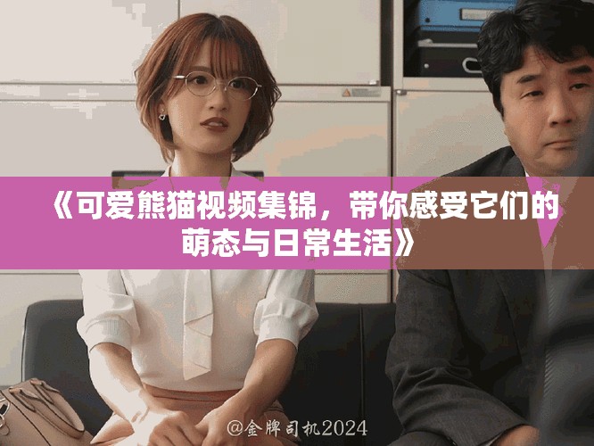 《可愛熊貓視頻集錦，帶你感受它們的萌態(tài)與日常生活》