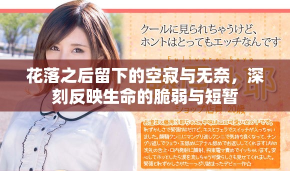 花落之后留下的空寂與無奈，深刻反映生命的脆弱與短暫