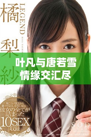 葉凡與唐若雪情緣交匯盡在小說全文免費閱讀完整版中