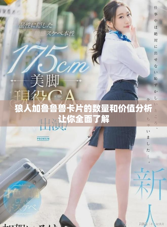 狼人加魯魯獸卡片的數(shù)量和價值分析讓你全面了解