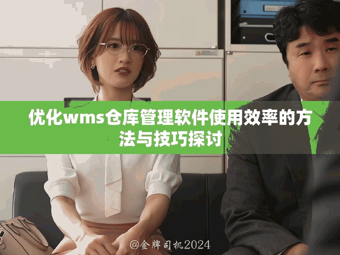 優(yōu)化wms倉庫管理軟件使用效率的方法與技巧探討