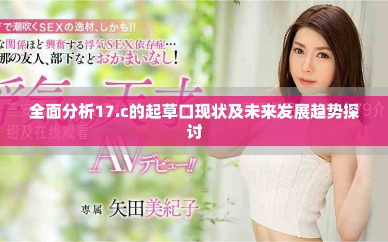 全面分析17.c的起草口現(xiàn)狀及未來發(fā)展趨勢(shì)探討