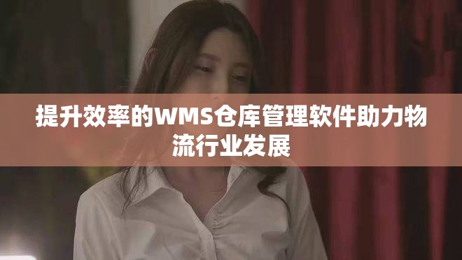 提升效率的WMS倉(cāng)庫(kù)管理軟件助力物流行業(yè)發(fā)展
