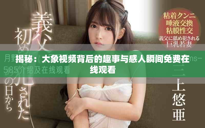 揭秘：大象視頻背后的趣事與感人瞬間免費(fèi)在線觀看