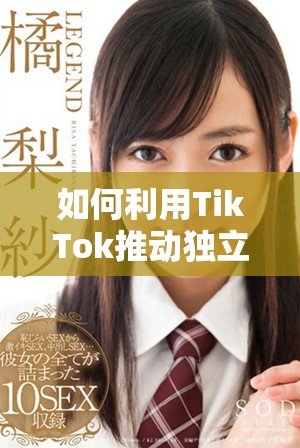 如何利用TikTok推動獨立站流量增長與品牌知名度提升
