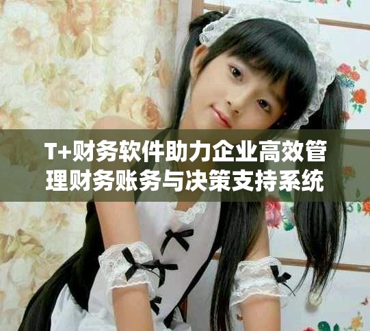T+財(cái)務(wù)軟件助力企業(yè)高效管理財(cái)務(wù)賬務(wù)與決策支持系統(tǒng)