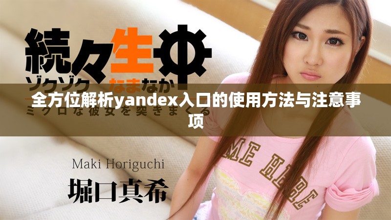 全方位解析yandex入口的使用方法與注意事項