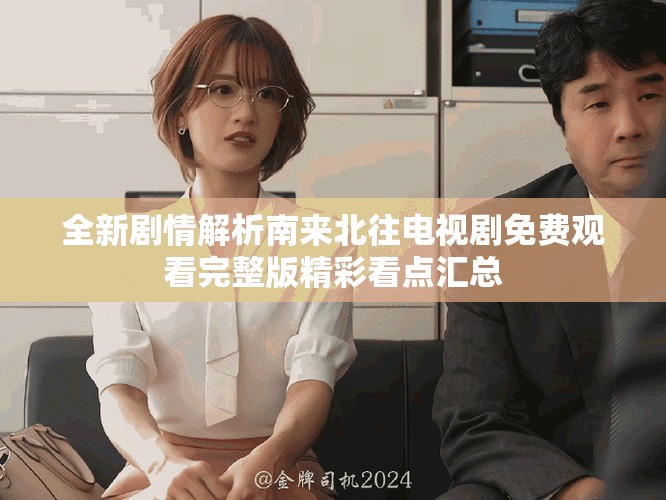 全新劇情解析南來北往電視劇免費(fèi)觀看完整版精彩看點(diǎn)匯總