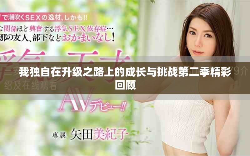 我獨(dú)自在升級(jí)之路上的成長(zhǎng)與挑戰(zhàn)第二季精彩回顧